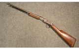 Winchester ~ 1906 ~ .22 S/L/LR - 11 of 11
