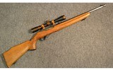 Ruger ~ 10/22 Carbine ~ .22 Long Rifle - 1 of 11