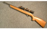 Ruger ~ 10/22 Carbine ~ .22 Long Rifle - 11 of 11