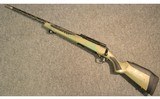 Savage ~ 110 LH ~ .30-06 Sprg - 11 of 11