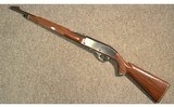Remington ~ Mohawk 10C ~ .22 Long Rifle - 11 of 11