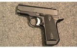 Kimber ~ Micro Carry ~ .380 ACP - 2 of 2