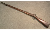 U.S. Springfield ~ 1873 ~ Unmkd Cal - 11 of 11