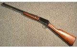 Henry ~ H003TM ~ .22 Magnum - 11 of 11
