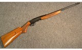 Browning ~ SA-22 ~ .22 Long Rifle - 1 of 11