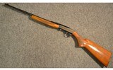 Browning ~ SA-22 ~ .22 Long Rifle - 11 of 11