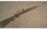 Ruger ~ 77/22 All-Weather ~ .22 Long Rifle - 1 of 11