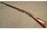 Winchester ~ 1890 ~ .22 Short - 11 of 11