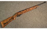 Ruger ~ Custom 10/22 ~ .22 Long Rifle - 1 of 11