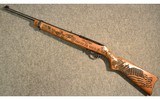 Ruger ~ Custom 10/22 ~ .22 Long Rifle - 11 of 11