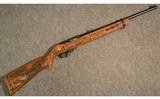 Ruger ~ Custom 10/22 ~ .22 Long Rifle