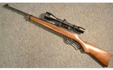 Ruger ~ Ninety-Six ~ .17 HMR - 11 of 11