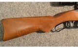 Ruger ~ Ninety-Six ~ .17 HMR - 2 of 11