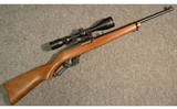 Ruger ~ Ninety-Six ~ .17 HMR - 1 of 11