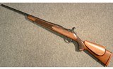SAKO ~ S491 ~ .17 Remington - 11 of 11