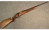 SAKO ~ S491 ~ .17 Remington