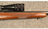 Ruger ~ M77 Varmint ~ .243 Winchester - 4 of 12