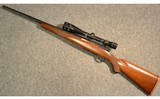Ruger ~ M77 Varmint ~ .243 Winchester - 12 of 12