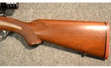 Ruger ~ M77 Varmint ~ .243 Winchester - 9 of 12