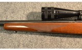 Ruger ~ M77 Varmint ~ .243 Winchester - 6 of 12