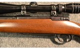Ruger ~ M77 Varmint ~ .243 Winchester - 8 of 12