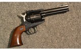 Ruger
NM Blackhawk
.357 Magnum/9mm Luger