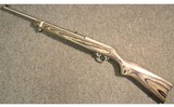 Ruger ~ Stainless 10/22 ~ .22 Long Rifle - 11 of 11