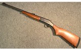 Harrington & Richardson ~ Handi Rifle 088 ~ .45-70 Government - 11 of 11