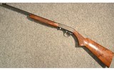 Browning ~ SA-22 ~ .22 Long Rifle - 11 of 12