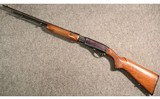 Remington ~ 572 Fieldmaster ~ .22 S, L, LR - 5 of 5