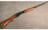 Remington ~ 572 Fieldmaster ~ .22 S, L, LR