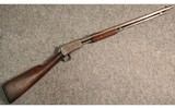Winchester ~ 1906 ~ .22 Short - 1 of 5