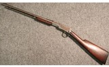 Winchester ~ 1906 ~ .22 Short - 5 of 5