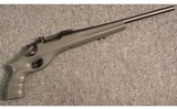 Remington ~ XP-100 ~ .223 Remington