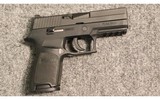 Sig Sauer ~ P250 ~ 9mm Luger