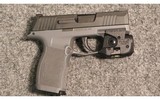 Sig Sauer ~ P365 ~ 9mm Luger - 1 of 2