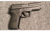 Sig Sauer ~ P229 ~ .40 S&W