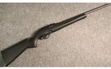 Remington ~ 597 Magnum ~ .22 WMR