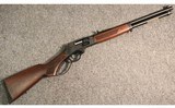 Henry ~ Steel Side Gate Lever Action ~ .45-70 Government