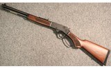 Henry ~ Steel Side Gate Lever Action ~ .45-70 Government - 5 of 5