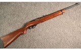 Ruger ~ 10/22 Carbine ~ .22 Long Rifle - 1 of 5