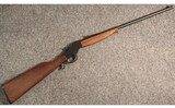 Stevens ~ Model 30 Favorite ~ .22 Long Rifle