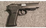 E.A.A. ~ Witness-P Carry ~ .40 S&W - 1 of 2