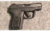 Ruger ~ LCP MAX ~ .380 Auto