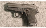 Sig Sauer ~ P224 SAS ~ .40 S&W - 2 of 2