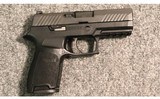 Sig Sauer ~ P320 ~ 9mm Luger - 1 of 2