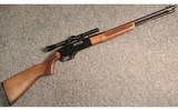 Winchester ~ 190 ~ .22 Long Rifle - 1 of 5