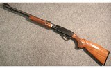 Remington ~ 572 Fieldmaster ~ .22 S, L, LR - 5 of 5