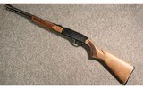 Winchester ~ 290 ~ .22 Long Rifle - 5 of 5