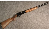 Winchester ~ 290 ~ .22 Long Rifle - 1 of 5